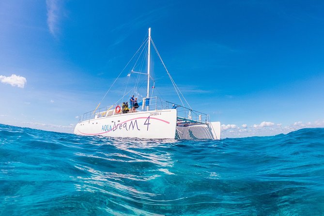 Cozumel Catamaran Snorkeling Tour & Lunch (Hotel Pick Up) - Should you book this Cozumel snorkeling tour?