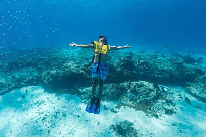 Cozumel Catamaran Snorkeling Tour & Lunch (Hotel Pick Up) - The Cancun to Cozumel route takes patience