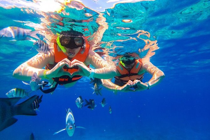 Cozumel Catamaran Tour: Snorkel at Top Reefs & Open Bar - Palancar Reef and the cost of a crowded boat