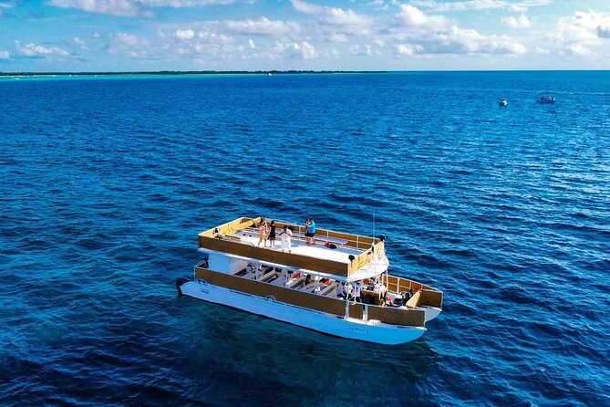 Cozumel Catamaran Tour: Snorkel at Top Reefs & Open Bar - El Cielo: starfish, shallow water, and a slower pace