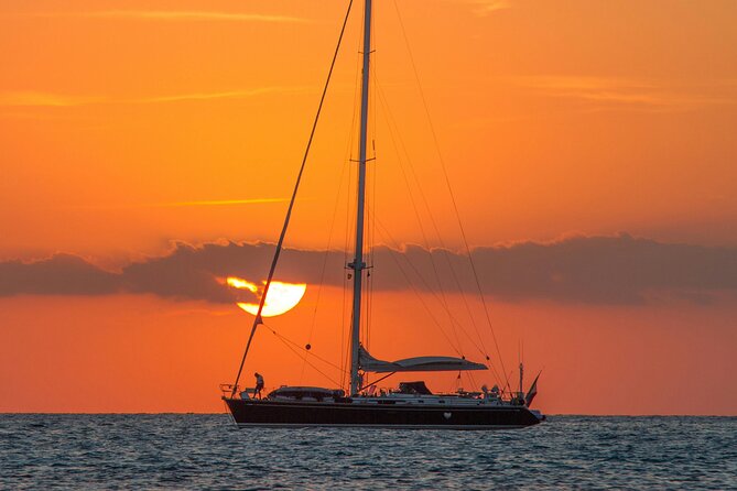 Dakhla Catamaran Tour - Why the small group matters