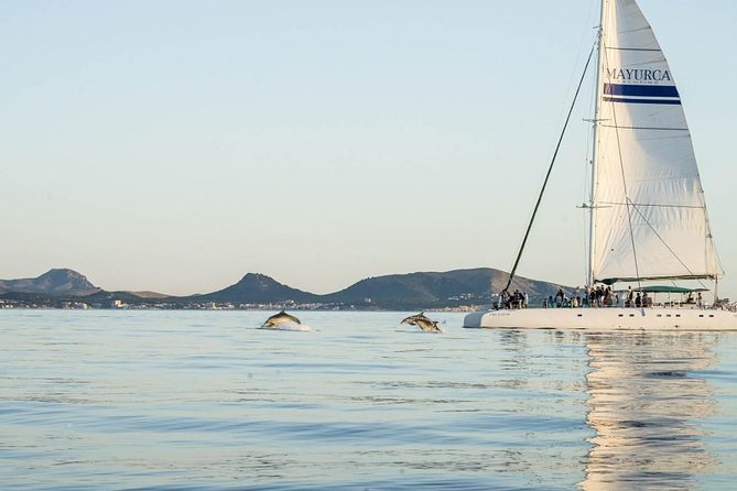 Day Catamaran Trip: Cap des Freus and Llevant Natural Park - Barbecue lunch with a few details to clarify