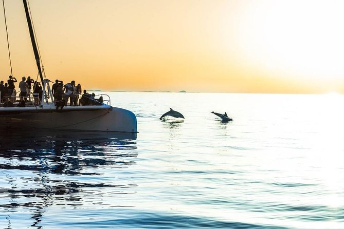 Day Catamaran Trip: Cap des Freus and Llevant Natural Park - What the $90.82 price really covers