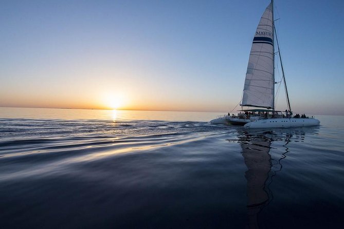 Day Catamaran Trip: Cap des Freus and Llevant Natural Park - Timing, transport, and cancellation advice