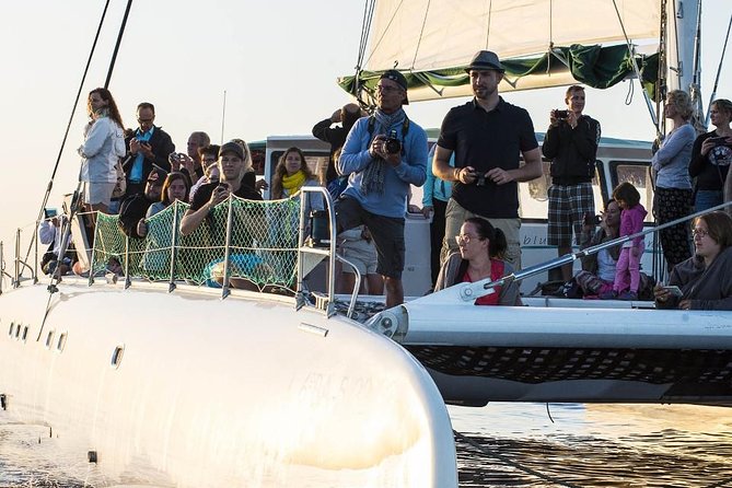Day Catamaran Trip: Cap des Freus and Llevant Natural Park - Who should book this catamaran trip