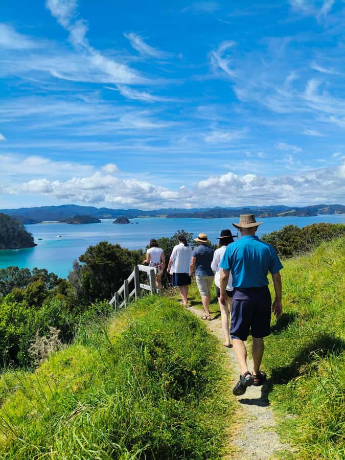 Day Sailing Charter on Catamaran with Lunch : Bay Of Islands - The two-hour island stop