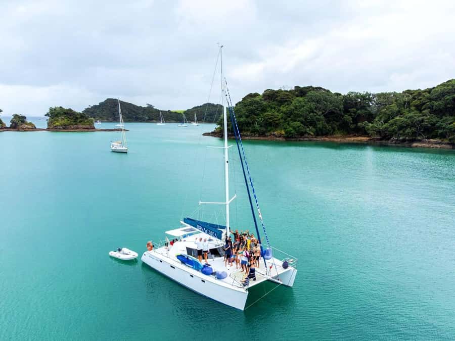 Day Sailing Charter on Catamaran with Lunch : Bay Of Islands - What the boat feels like for a full day