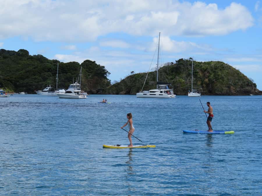 Day Sailing Charter on Catamaran with Lunch : Bay Of Islands - Who will enjoy this charter most?