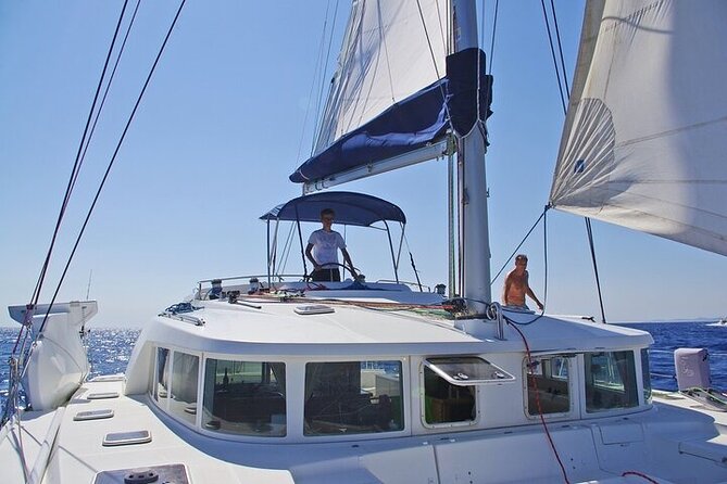 Day trip on a sailing catamaran in Sardinia - Leila the Labrador and the question of allergies