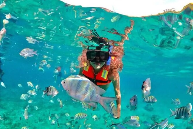 Deluxe Catamaran to Isla Mujeres with Open Bar from Cancun - One and a half hours on Isla Mujeres