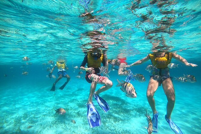 Deluxe Catamaran to Isla Mujeres with Open Bar from Cancun - Buffet lunch at the beach club