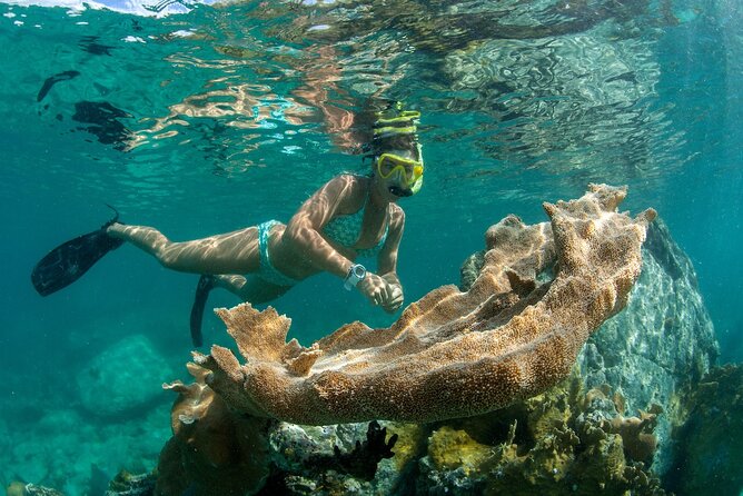 Deluxe Half-Day Snorkel Sail on Lady Grace Luxury Catamaran - What $189 buys you