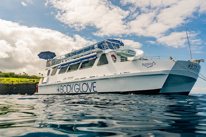 Deluxe Snorkel & Dolphin Watch Aboard a Luxury Catamaran from Kailua-Kona - The boat is the attraction as much as the water