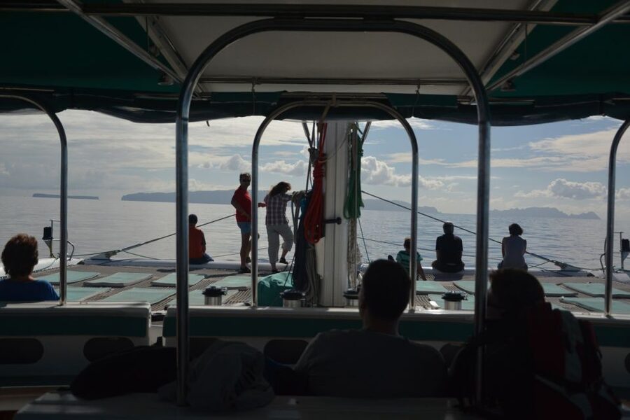Desertas Islands Full-Day Catamaran Trip from Funchal - Watching for dolphins and whales on the way