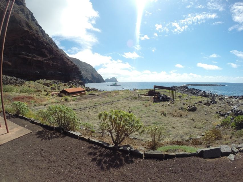 Desertas Islands Full-Day Catamaran Trip from Funchal - The conservation visit and the monk-seal story