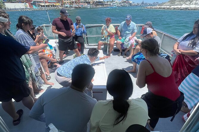 Destin Crab Island Tour in Catamaran - Weather, cancellations, and timing