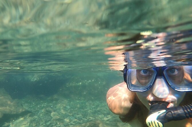 Destin Private Catamaran and Snorkeling Tour 3 or 4hrs - Snorkeling and shell hunting near Destin