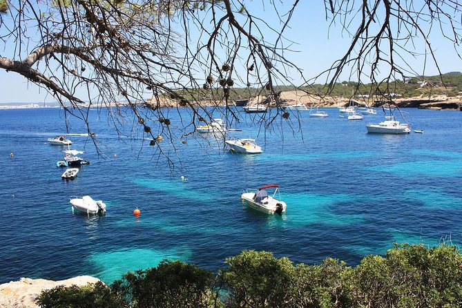 Discover Cala Bassa and Cala Comte on board a catamaran - Cala Codolar and time with the water gear