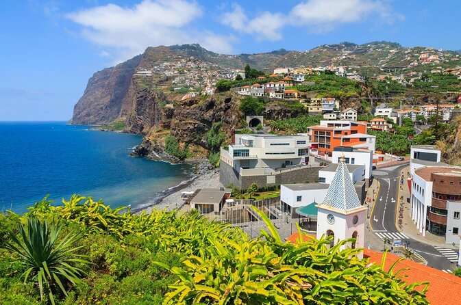 Dolphin and Whale Watching Catamaran Cruise from Funchal - Key points before you book