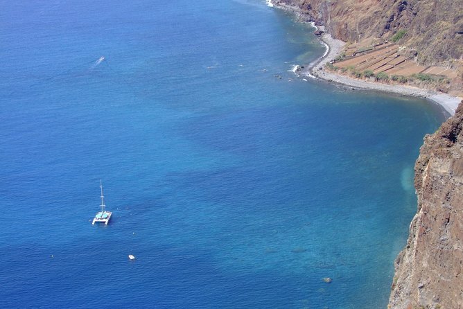 Dolphin and Whale Watching Catamaran Cruise from Funchal - Swimming beneath Cabo Girão