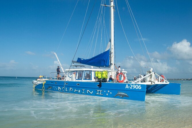 Dolphin Catamaran Snorkel and Sail with Open Bar - Who will enjoy The Dolphin most?