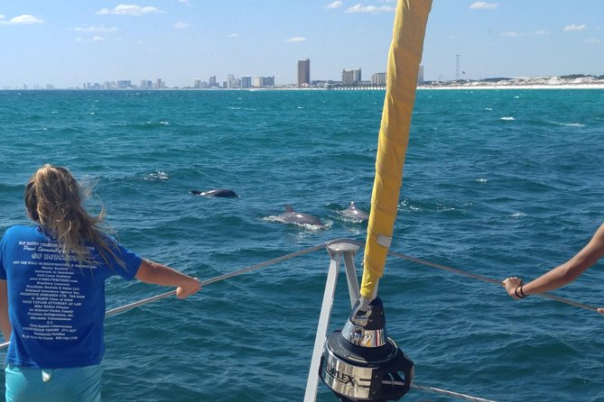 Dolphin Sightseeing Tour on the Footloose Catamaran - How Dolphin Sightseeing Works