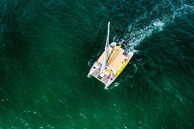 Dolphin Sightseeing Tour on the Footloose Catamaran - Who Will Enjoy Footloose Most?