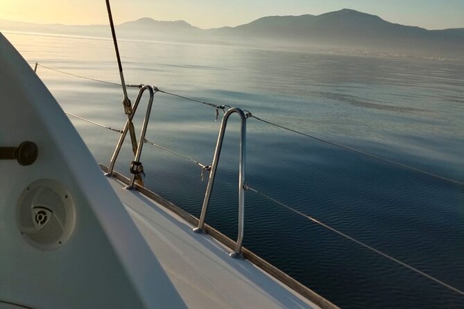 Dolphin trips on a catamaran - A dolphin trip that begins in Estepona, not Marbella