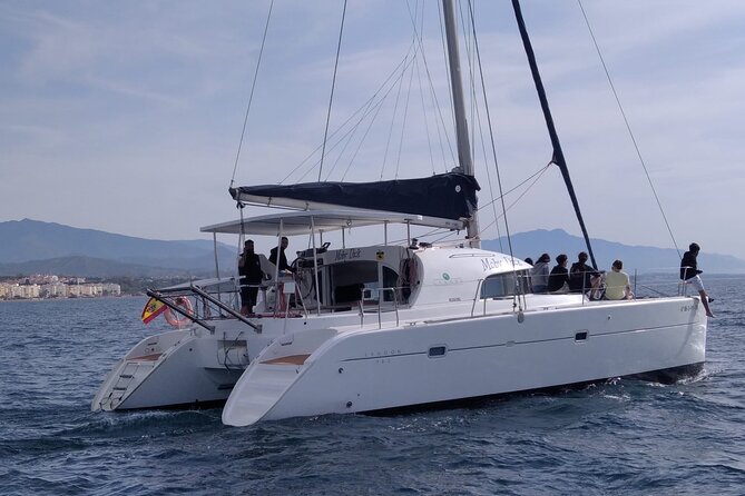 Dolphin trips on a catamaran - Swimming in the open water