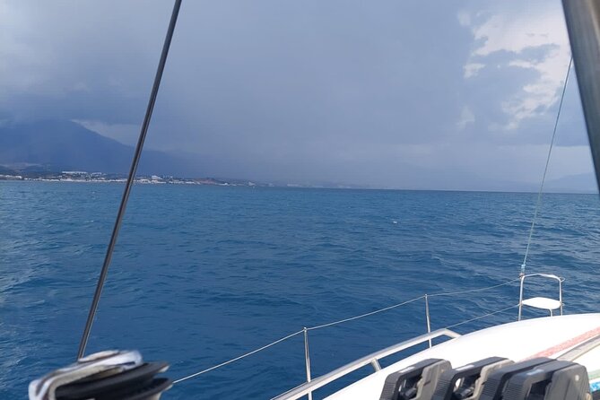 Dolphin trips on a catamaran - Is the two-hour length right for you?