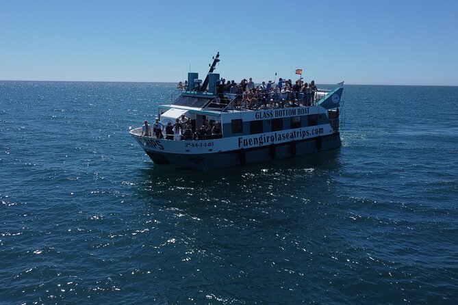 Dolphin watching on a Catamaran in Fuengirola - Key points to know before you board