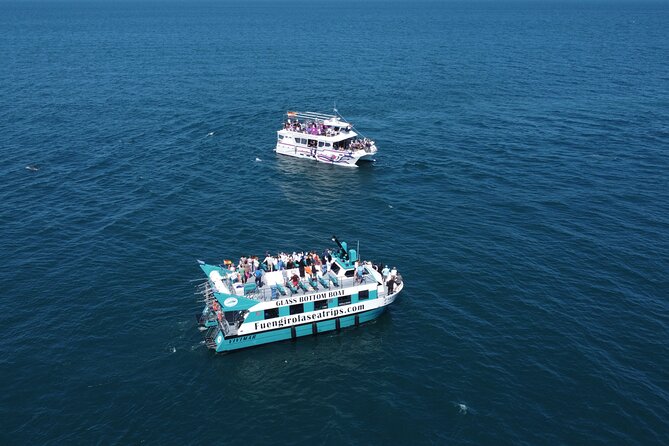 Dolphin watching on a Catamaran in Fuengirola - Upper-deck views, covered seating, and onboard comfort