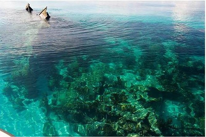 Dry Tortugas National Park Day Trip by Catamaran from Key West - Key points at a glance