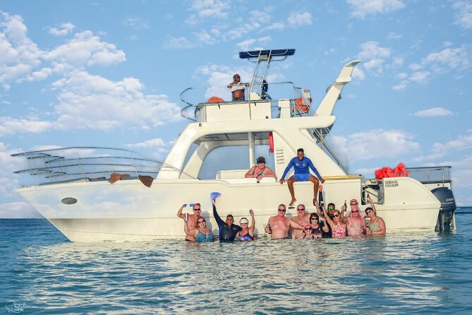 Eco Exploration: Golf Cart Adventure and Catamaran Cruise - Practical Details Before You Book