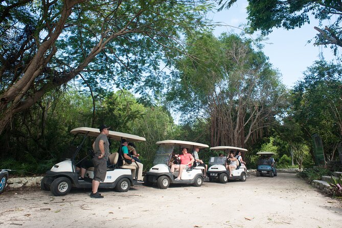 Eco Exploration: Golf Cart Adventure and Catamaran Cruise - Golf Cart Touring and a Stop by the Beach