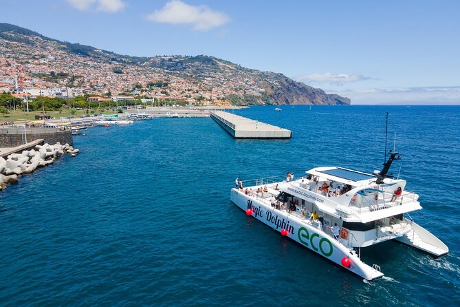 Eco-Friendly Catamaran Dolphin and Whale Watching - Who will enjoy this Madeira boat trip?