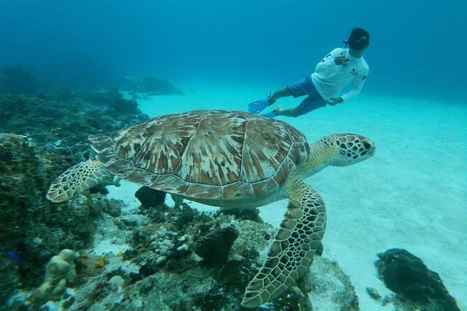 El Cielo Cozumel Snorkel tour by Catamaran - How much time you really get