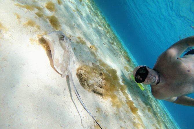 El Cielo Cozumel Snorkeling trip by Catamaran - Drinks, ceviche, and the value of $95
