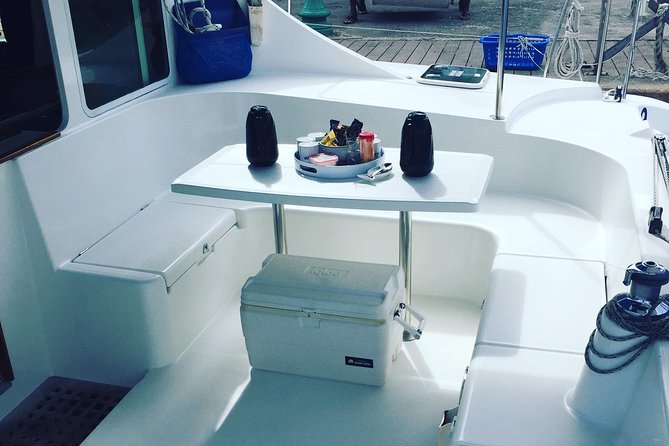 Elegance Catamaran turtles swim and lunch cruise - Key points to know before booking