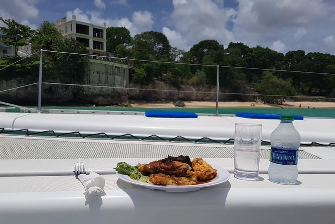 Elegance Catamaran turtles swim and lunch cruise - First stop: about 45 minutes with Barbados turtles