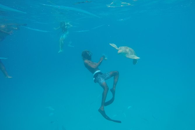 Elegance Catamaran turtles swim and lunch cruise - Lunch at a quiet bay for about 75 minutes