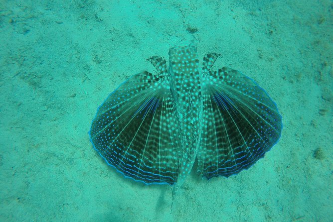 Elegance Catamaran turtles swim and lunch cruise - Getting to the boat at 9:30 a.m.