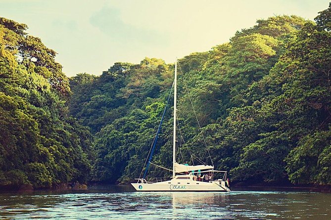 Exclusive Private Catamaran Adventure: Ile aux Cerf (Full Day Cruise incl Lunch) - Is $993.32 good value?