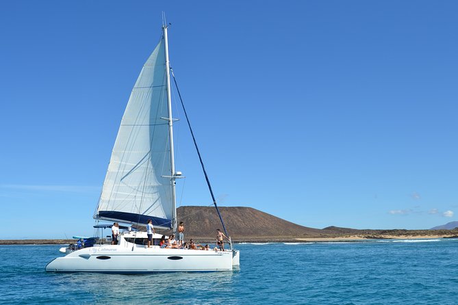 Exclusive Sailing Catamaran Experience to Lobos Island with lunch - The group-size question matters