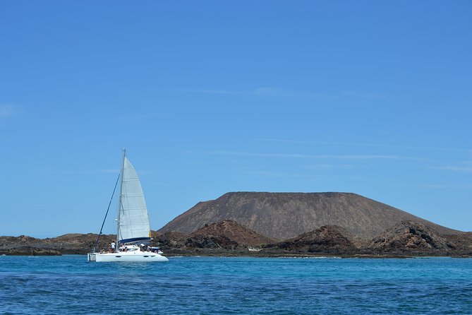 Exclusive Sailing Catamaran Experience to Lobos Island with lunch - Is $84.33 good value?