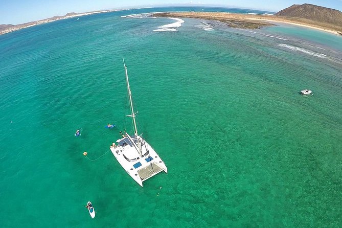 Exclusive Sailing Catamaran Experience to Lobos Island with lunch - Anchoring off Lobos Island
