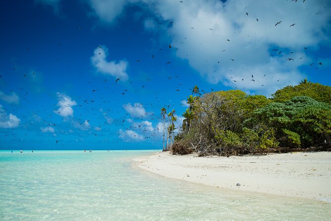 Excursion to Tetiaroa by Catamaran Visit Lunch Snorkeling - Weather can change the whole plan