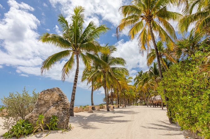 Experience an amazing ecological park tour & explore Isla Mujeres by catamaran. - Isla Mujeres beach club and town time