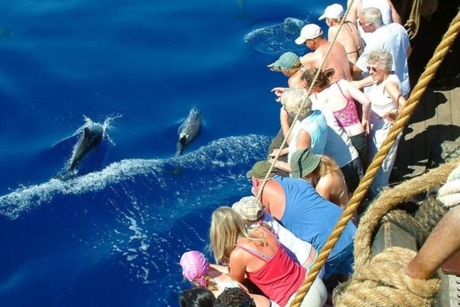 Explore Alanya's Beauty Catamaran Boat Tour - Lunch aboard the catamaran