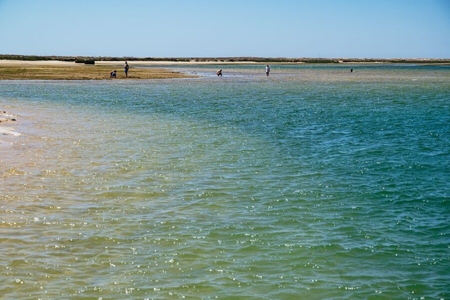 Faro: Deserta Island and Farol Island Catamaran Boat Trip - FAQ